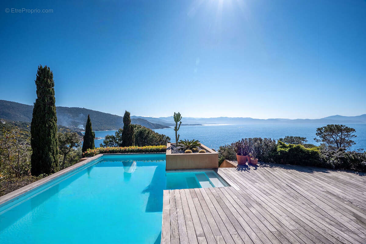 Casa Latina - photo 3