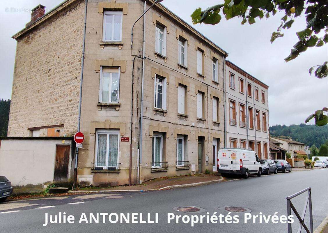 La SEAUVE SUR SEMENE (43140) Immeuble 543m² SEPT APPARTEMENTS, SEPT Places de stationnement grenier aménageable, caves en sous-s - photo 2