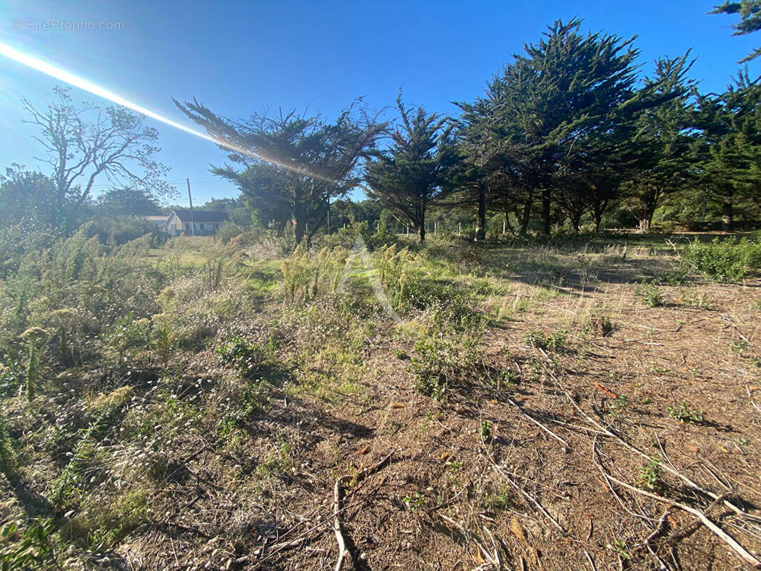 Terrain à BARBATRE