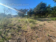 Terrain à BARBATRE