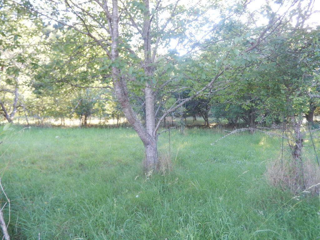 Terrain à SAINT-SYMPHORIEN-DE-MARMAGNE