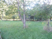 Terrain à SAINT-SYMPHORIEN-DE-MARMAGNE