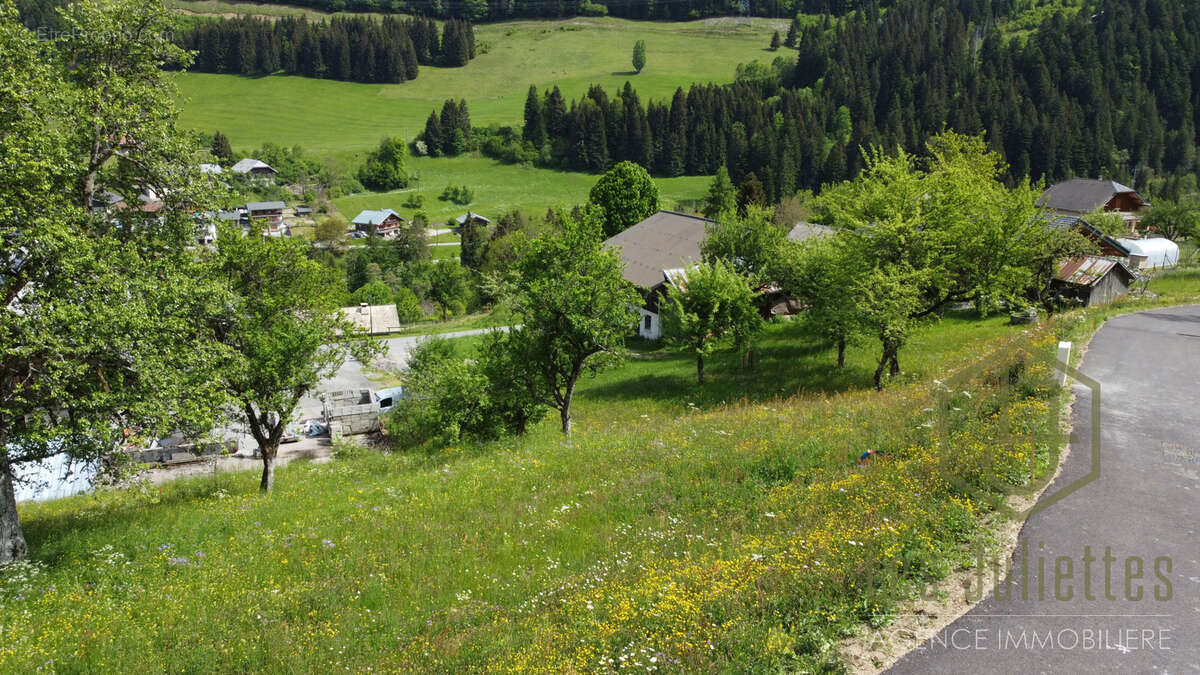 Terrain à SEYTROUX