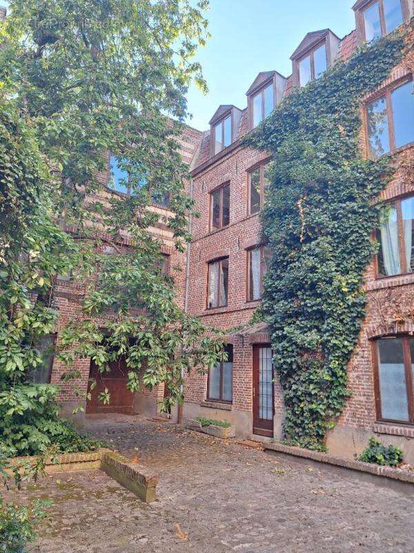 Appartement - photo 2