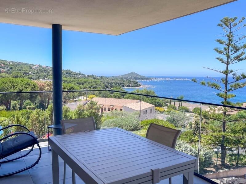 Appartement à PIETROSELLA