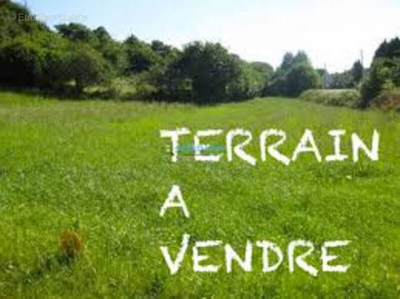 Terrain à THENEZAY