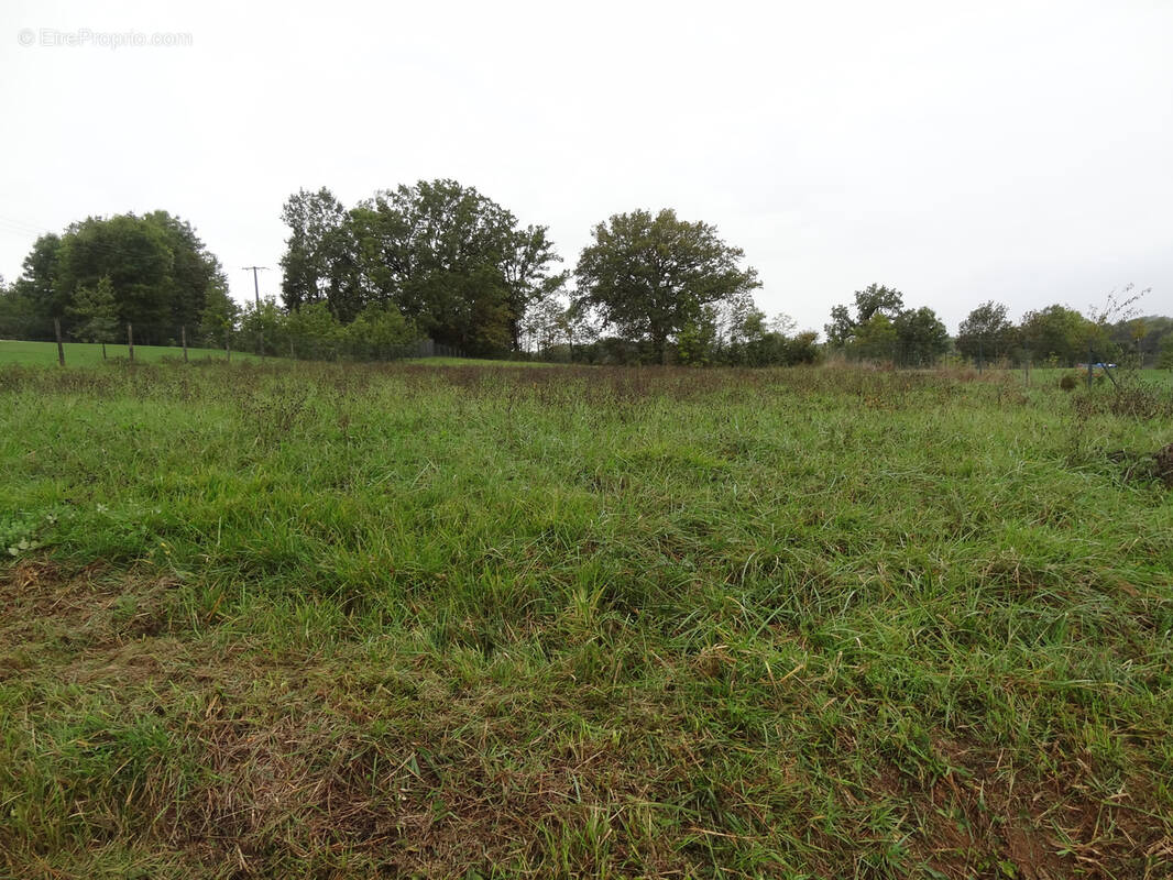 Terrain à SAINT-GERMAIN-DES-PRES