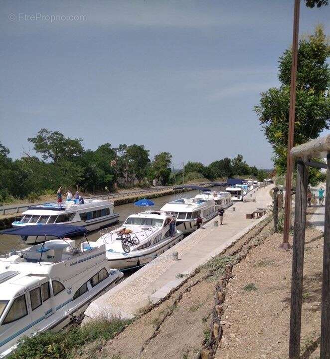 Photo 2 - Commerce à NARBONNE