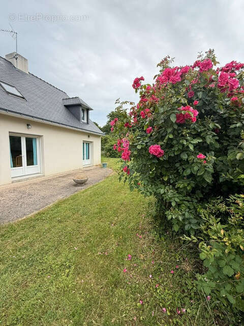 Maison à MESQUER