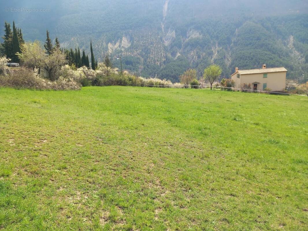 Terrain à SAINT-LEGER