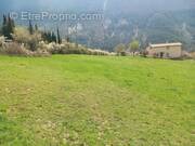 Terrain à SAINT-LEGER