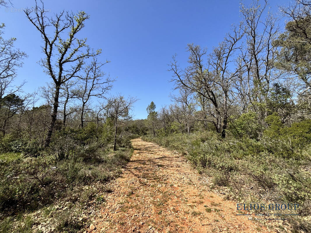 Terrain à NANS-LES-PINS