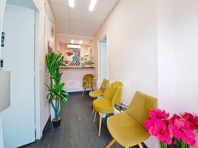 Commerce à SAINT-MARTIN