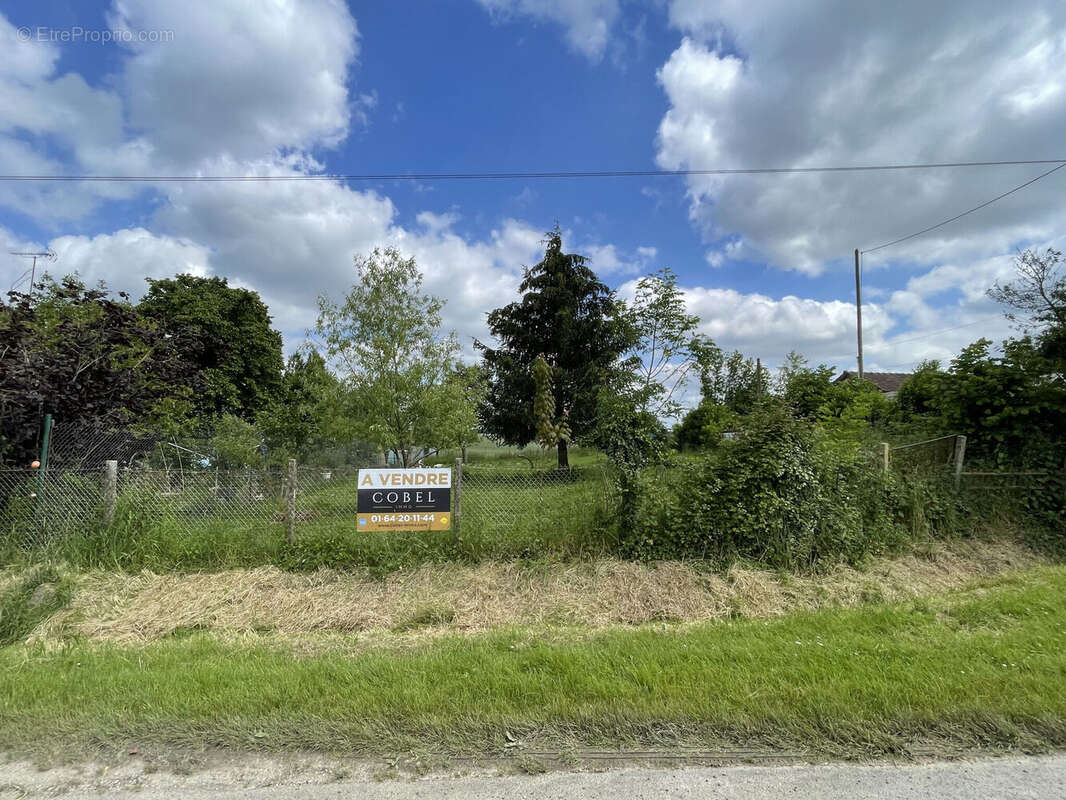 Photo 4 - Terrain à LA FERTE-GAUCHER