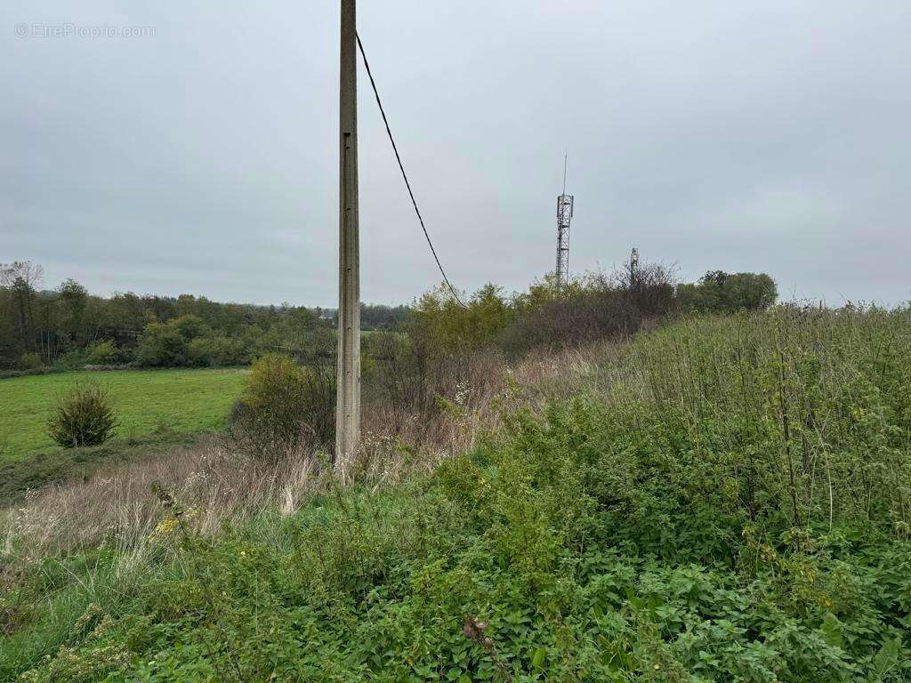 Photo 5 - Terrain à TOSSIAT