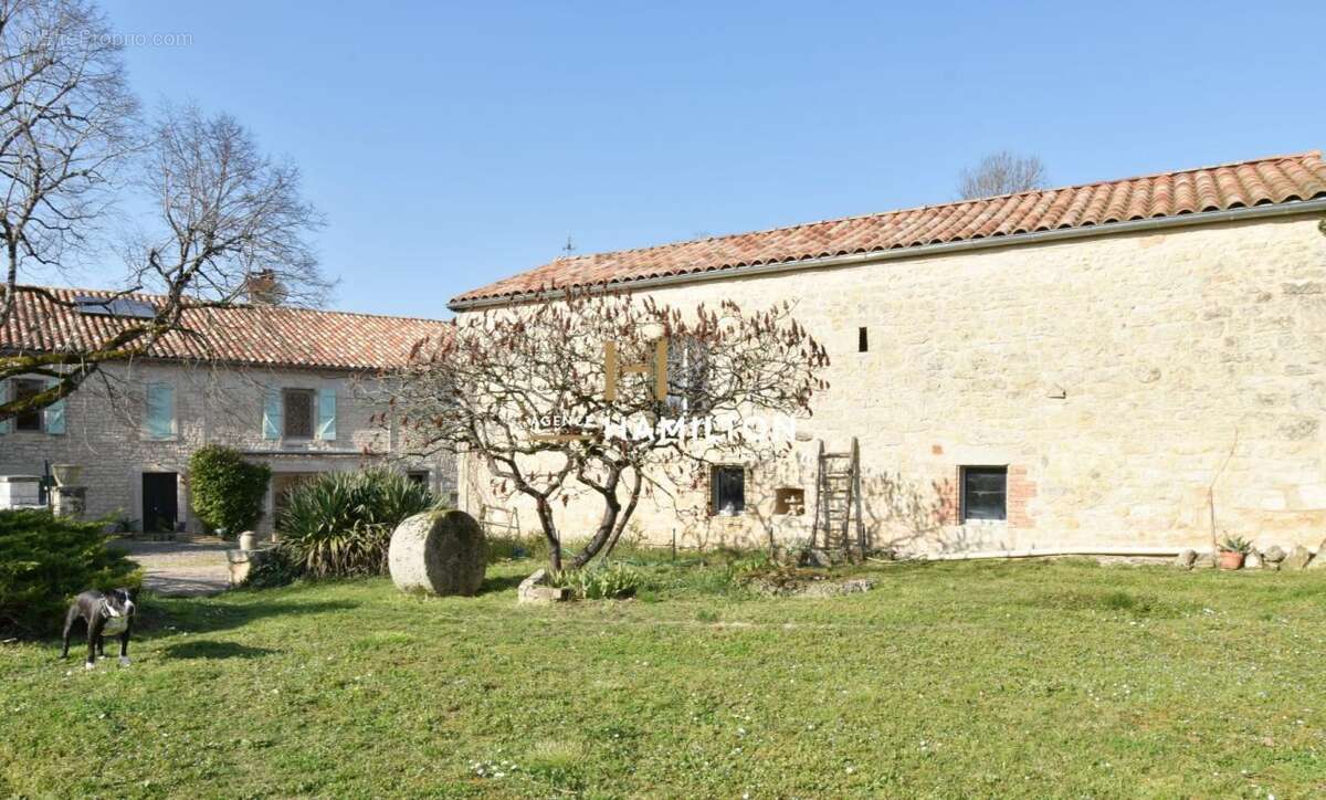 Maison à CORDES-SUR-CIEL