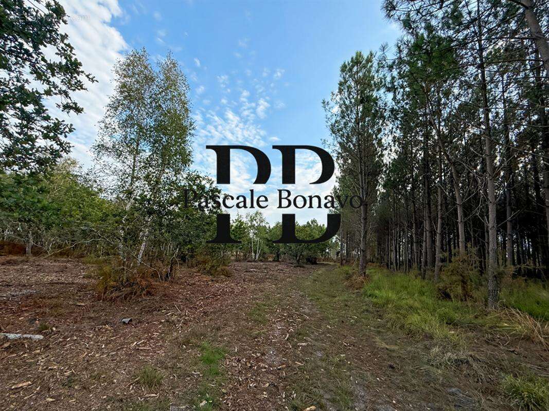 Terrain à VENDAYS-MONTALIVET