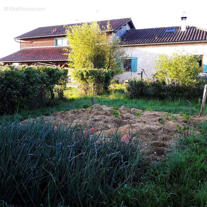 Propriété de 2.5ha avec Maison rénovée, dépendances, Vue Pyrénées - photo 24