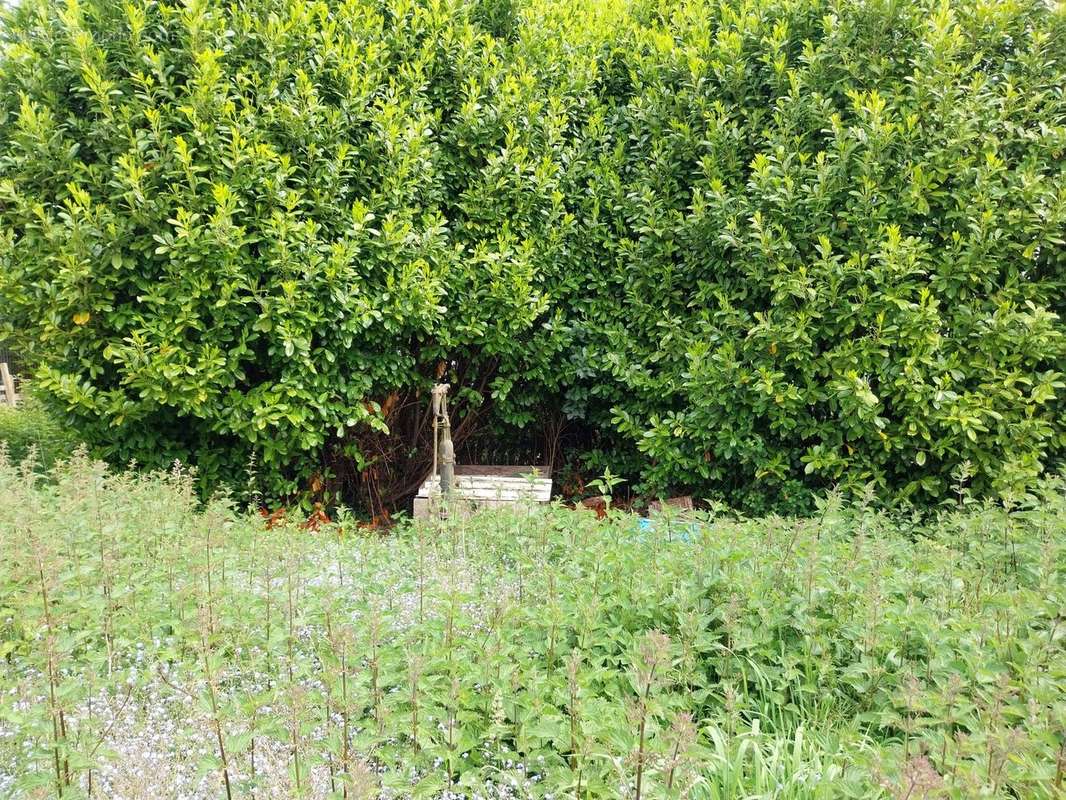 Terrain à SAINT-CARADEC