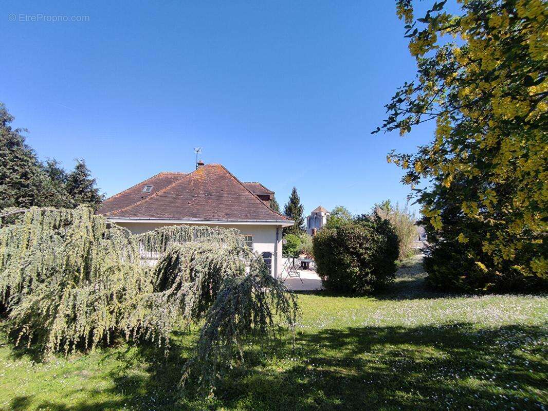 Maison à LA ROCHE-POSAY