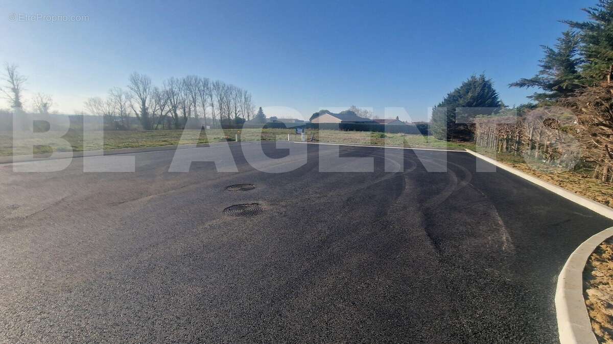 20250217_165126 - Terrain à CASTELSARRASIN