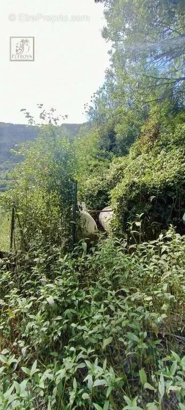 Appartement à SAINT-MARTIN-D&#039;ENTRAUNES