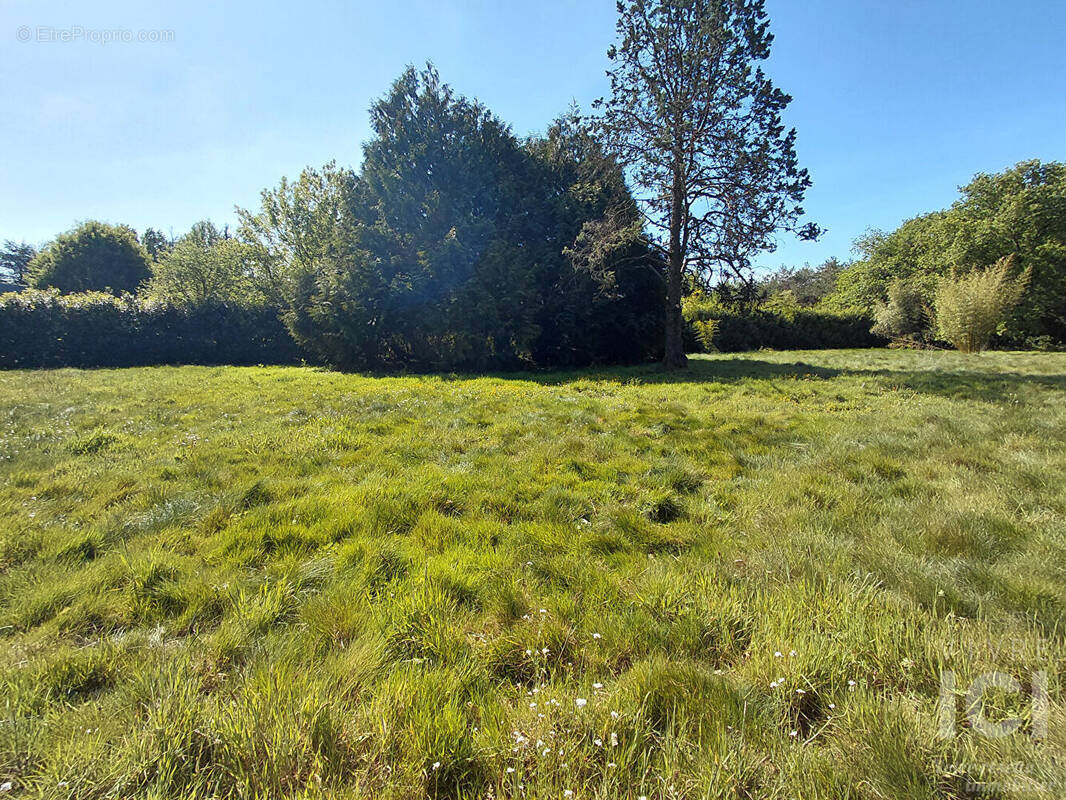 Terrain à SAUTRON