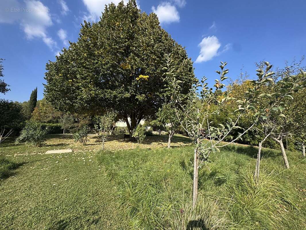Maison à MEOUNES-LES-MONTRIEUX
