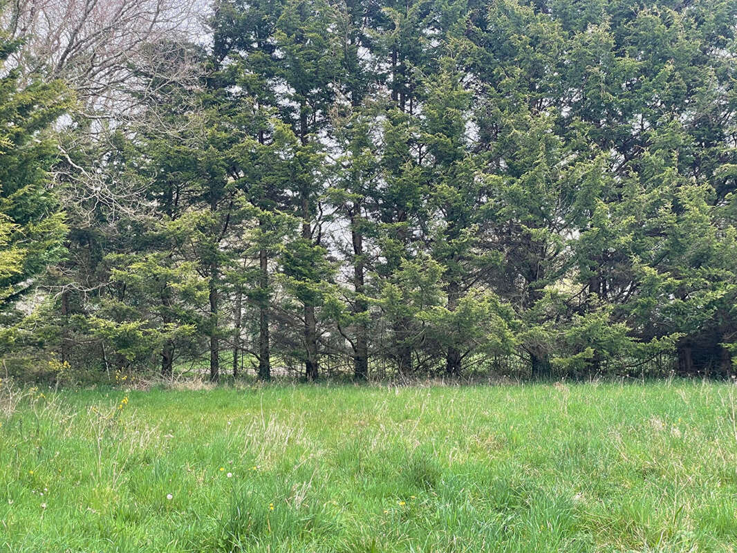 Terrain à SAINT-LYPHARD