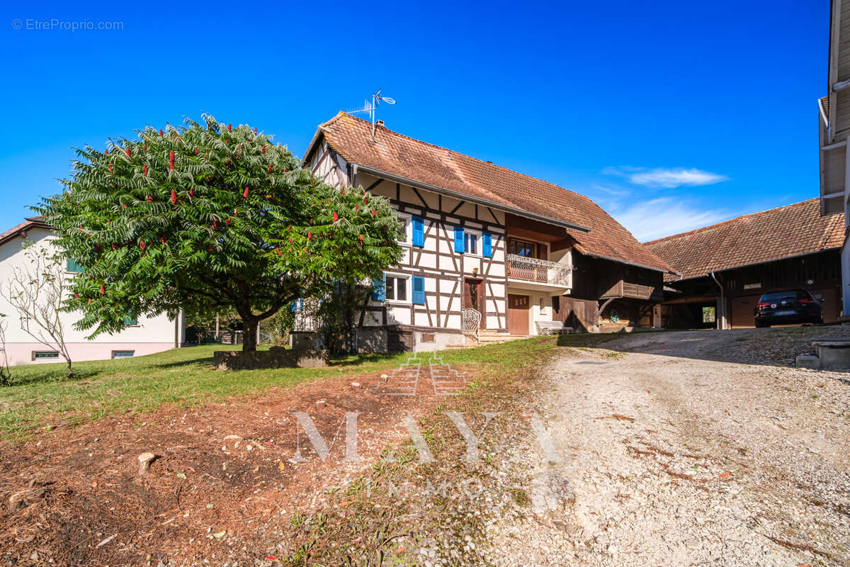 Maison à GRENTZINGEN