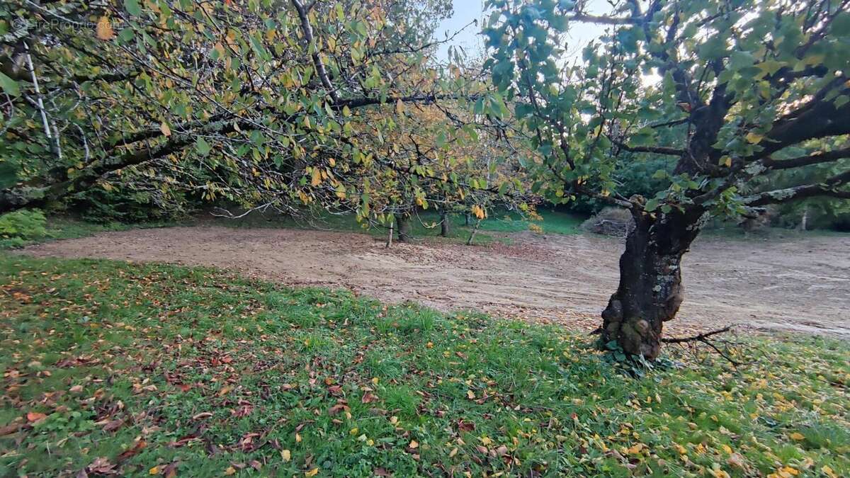 Photo 4 - Terrain à CASTELNAU-D&#039;ESTRETEFONDS