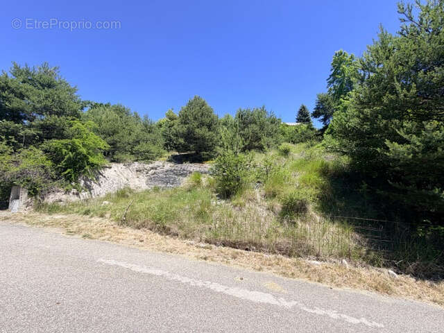 Terrain à vendre - Le Sauze du Lac - photo 6