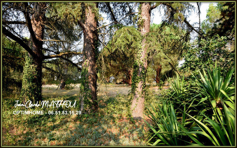 Maison à CASTELNAUDARY