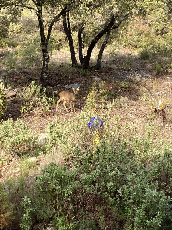 Maison à VILLECROZE