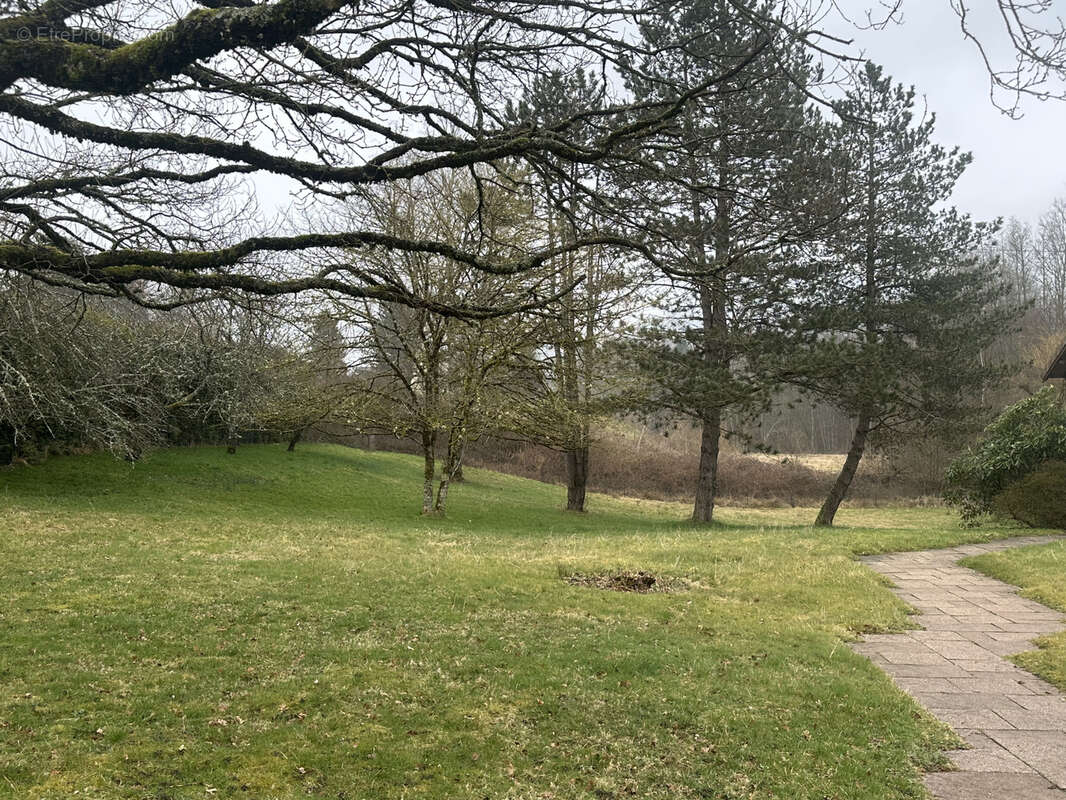 Maison à SAINT-DIE-DES-VOSGES