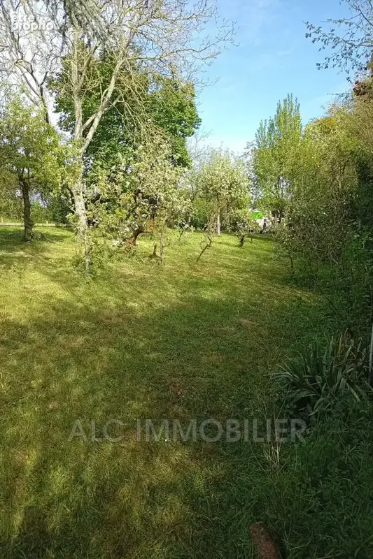 Terrain 755 m² à vendre à Souge-Le-Ganelon (72130) - photo 9