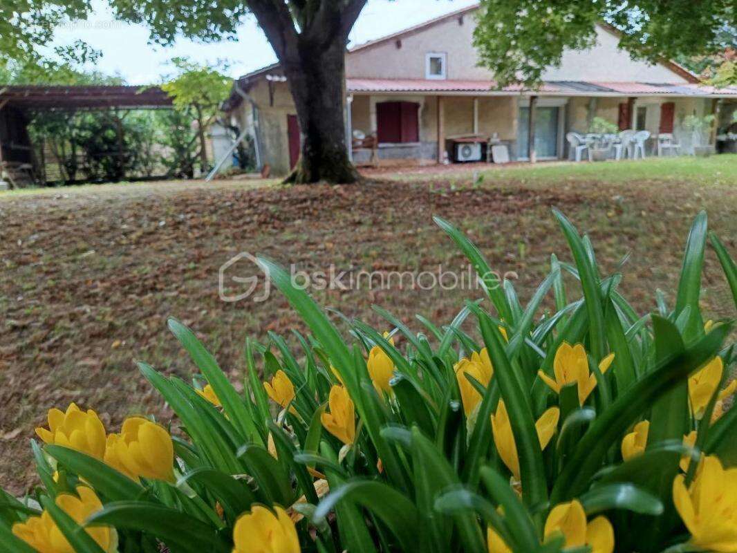 Maison à SAINT-AQUILIN