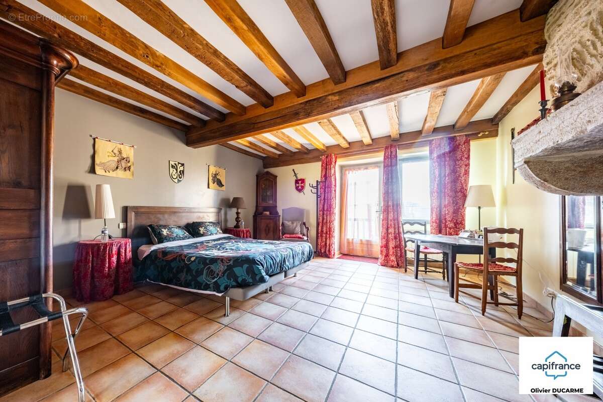Murs et fonds : gite, chambres d'hôtes et table d'hôtes à vendre CHAUDENAY LE CHATEAU (21) - photo 41