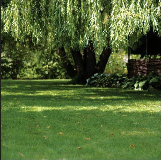 Terrain à MAURECOURT