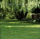 Terrain à MAURECOURT