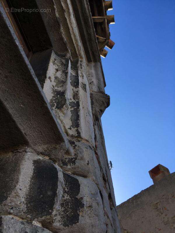 EXCLUSIVITE ! Investissez dans l'histoire ! Un hôtel particulier avec tour classée du XVe siècle, 7 appartements, un local comme - photo 10