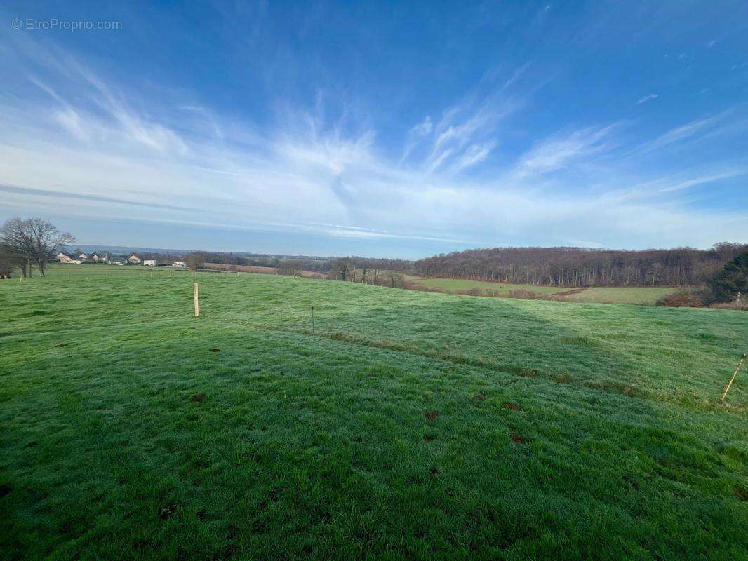 Maison à LE MESNIL-OZENNE