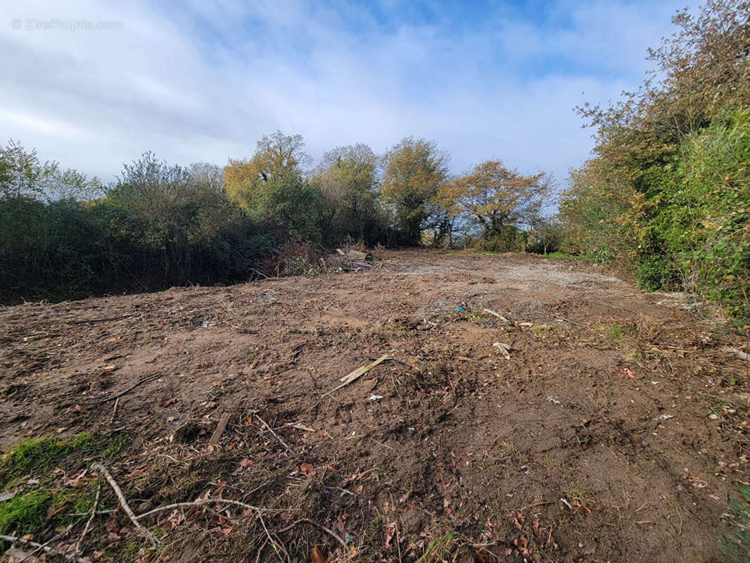 Terrain à LEGE
