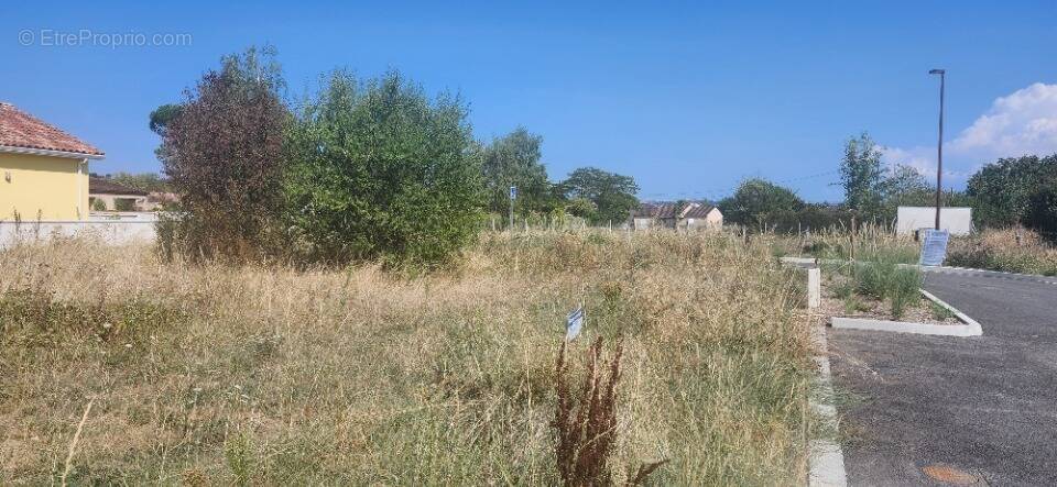 Terrain à LESCURE-D'ALBIGEOIS
