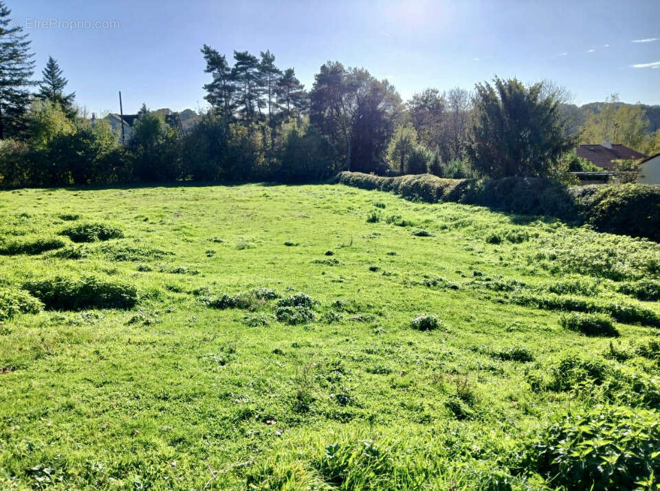 Terrain 1000 m² à Sansac-De-Marmiesse  - photo 4