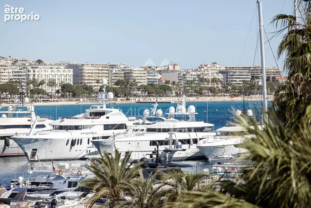 Cannes Vieux-Port - Dernier étage - Vue Mer Panoramique - photo 13