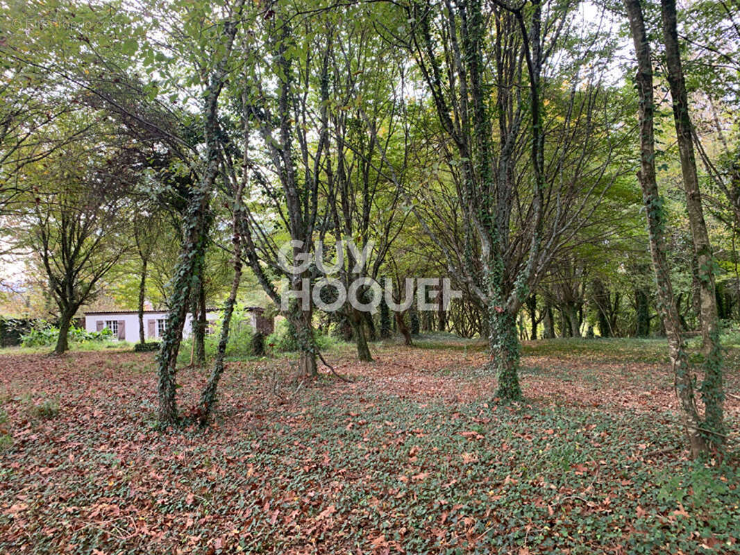 Maison à CASTILLON(CANTON D&#039;ARTHEZ-DE-BEARN)