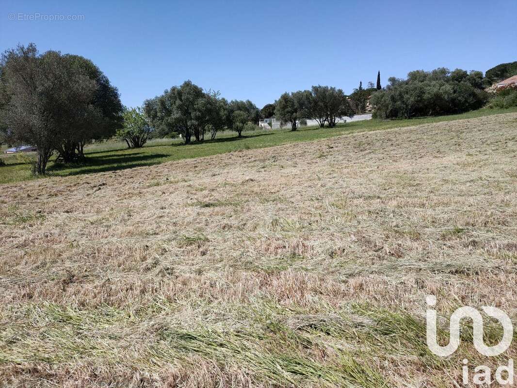 Photo 2 - Terrain à VALROS