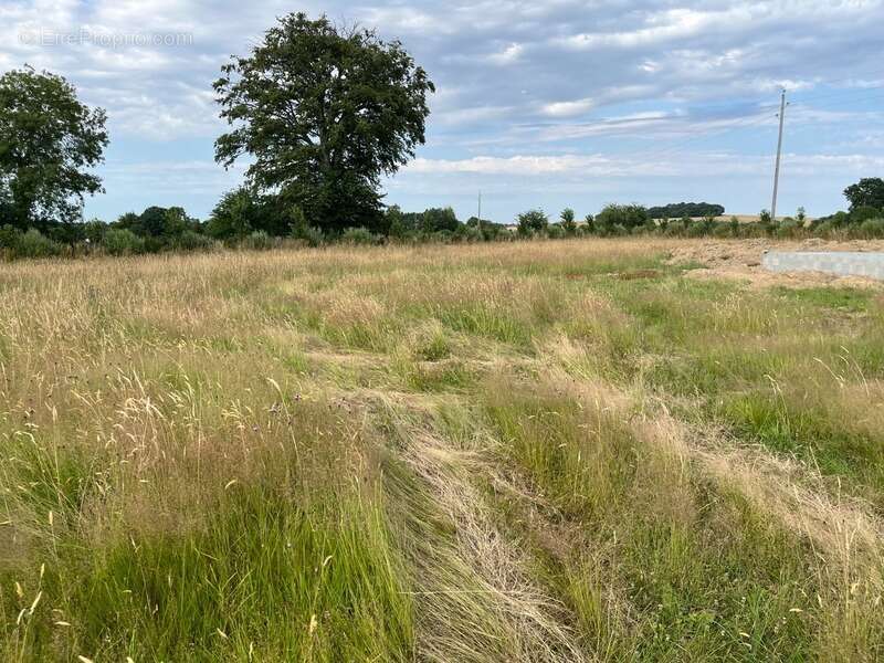 Terrain à vendre de 935,00 m² BONNEMAISON (14) - photo 6