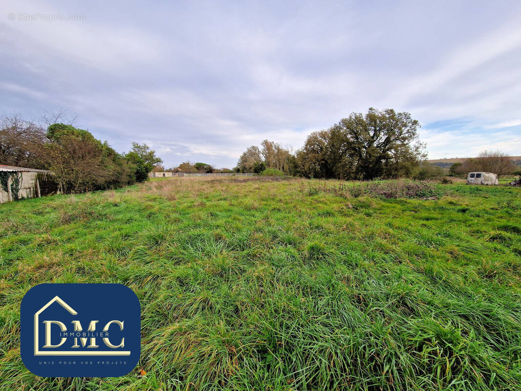 Terrain à CINTEGABELLE